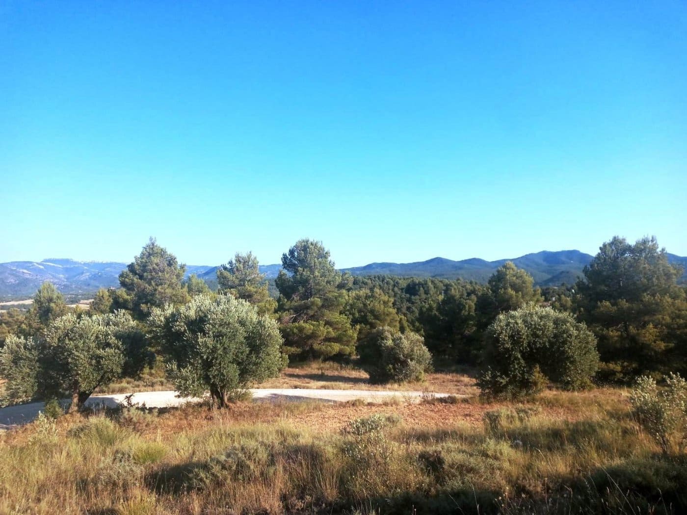 Finca/Herregård til salgs i Monroyo - € 14 500 (Ref: 9150224)