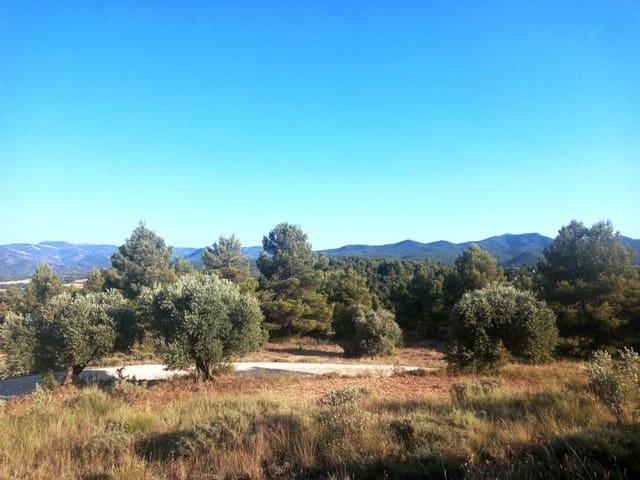 Finca/Herregård til salgs i Monroyo - € 14 500 (Ref: 9150224)