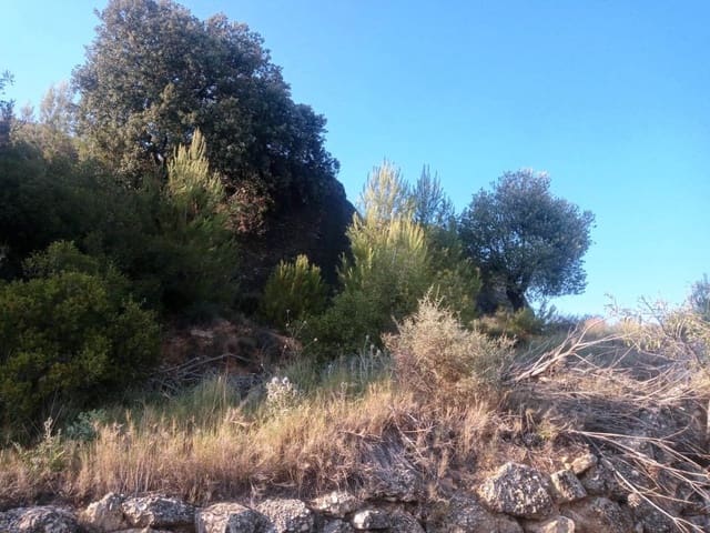 Finca/Herregård til salgs i Monroyo - € 14 500 (Ref: 9150224)