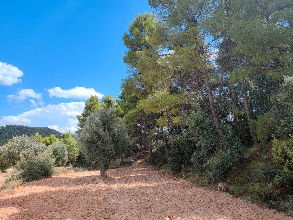 Finca/Landehus til salg i Belmonte de San Jose - € 25.000 (Ref: 9150228)