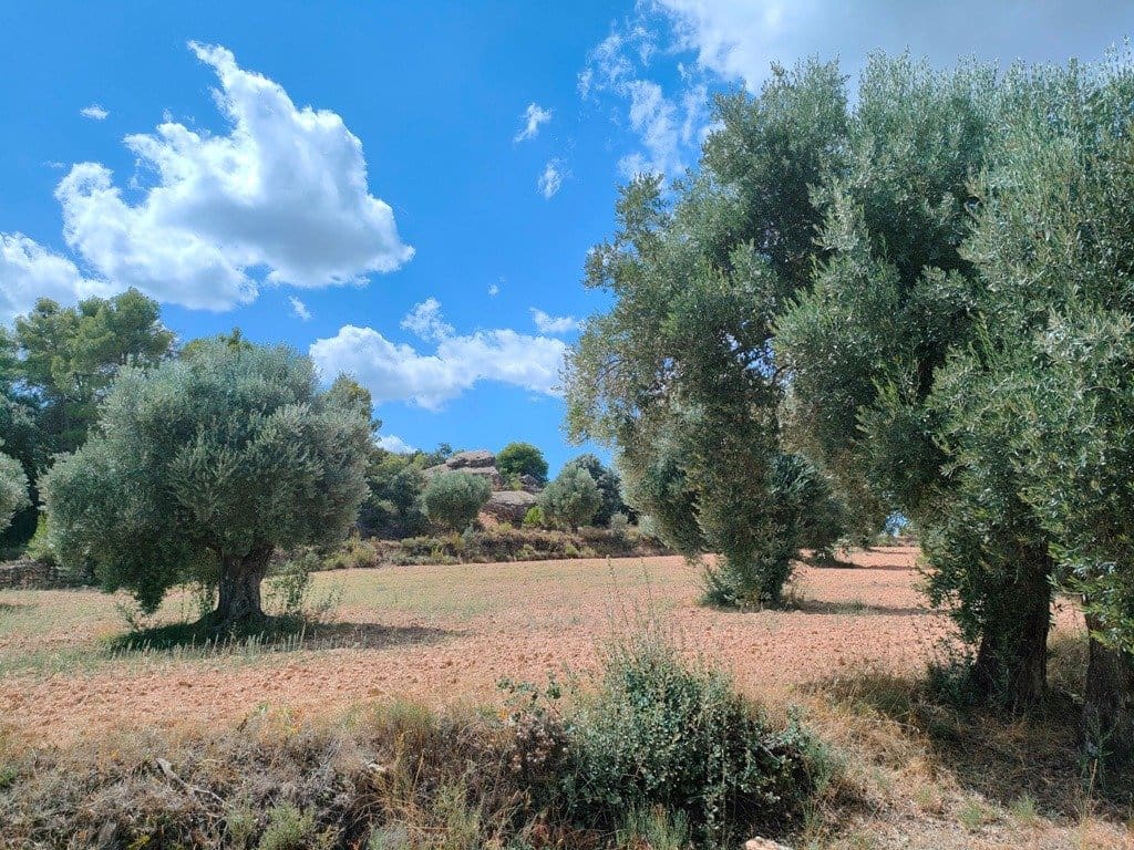 Finca/Landehus til salg i Belmonte de San Jose - € 25.000 (Ref: 9150228)