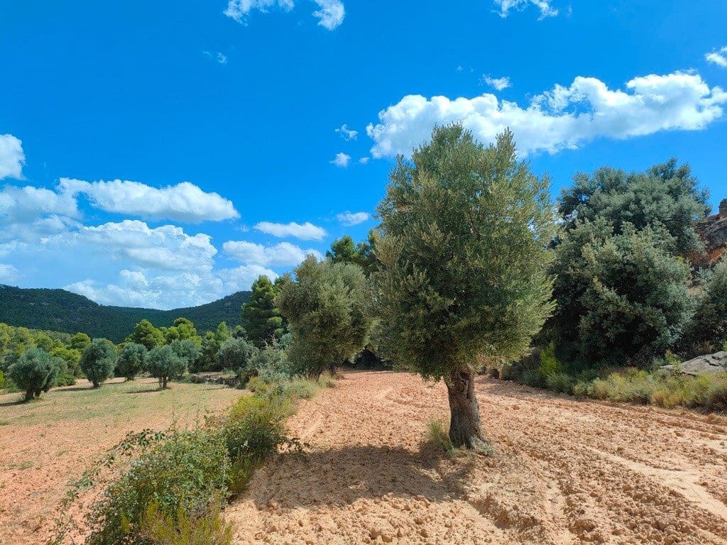 Finca/Landehus til salg i Belmonte de San Jose - € 25.000 (Ref: 9150228)