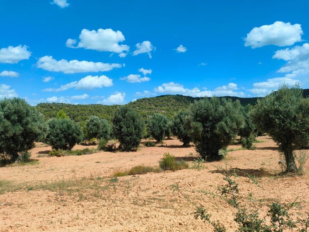 Finca/Landehus til salg i Belmonte de San Jose - € 25.000 (Ref: 9150228)