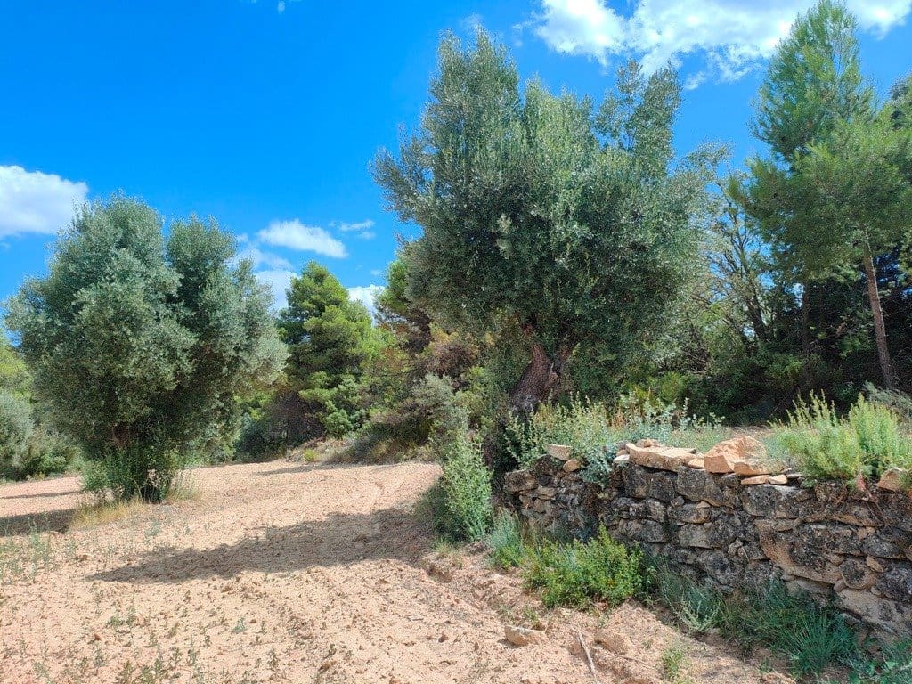 Finca/Landehus til salg i Belmonte de San Jose - € 25.000 (Ref: 9150228)