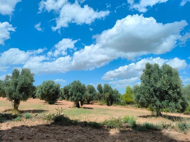 Finka/Dom wiejski na sprzedaż w Belmonte de San José - 25 000 € (Ref: 9150228)