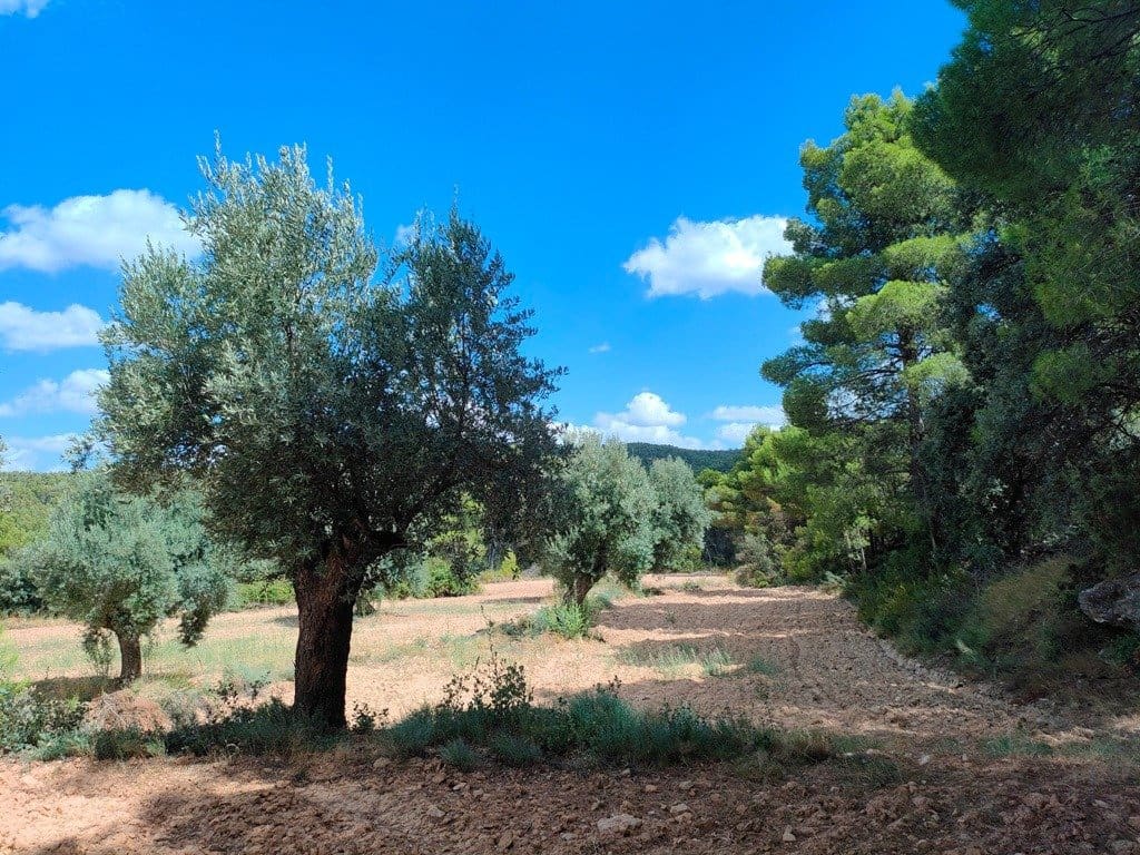 Finca/Landehus til salg i Belmonte de San Jose - € 25.000 (Ref: 9150228)