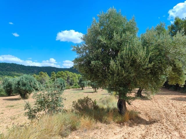 Finka/Dom wiejski na sprzedaż w Belmonte de San José - 25 000 € (Ref: 9150228)