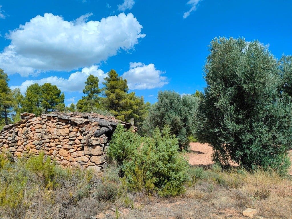 Finca/Landehus til salg i Belmonte de San Jose - € 25.000 (Ref: 9150228)