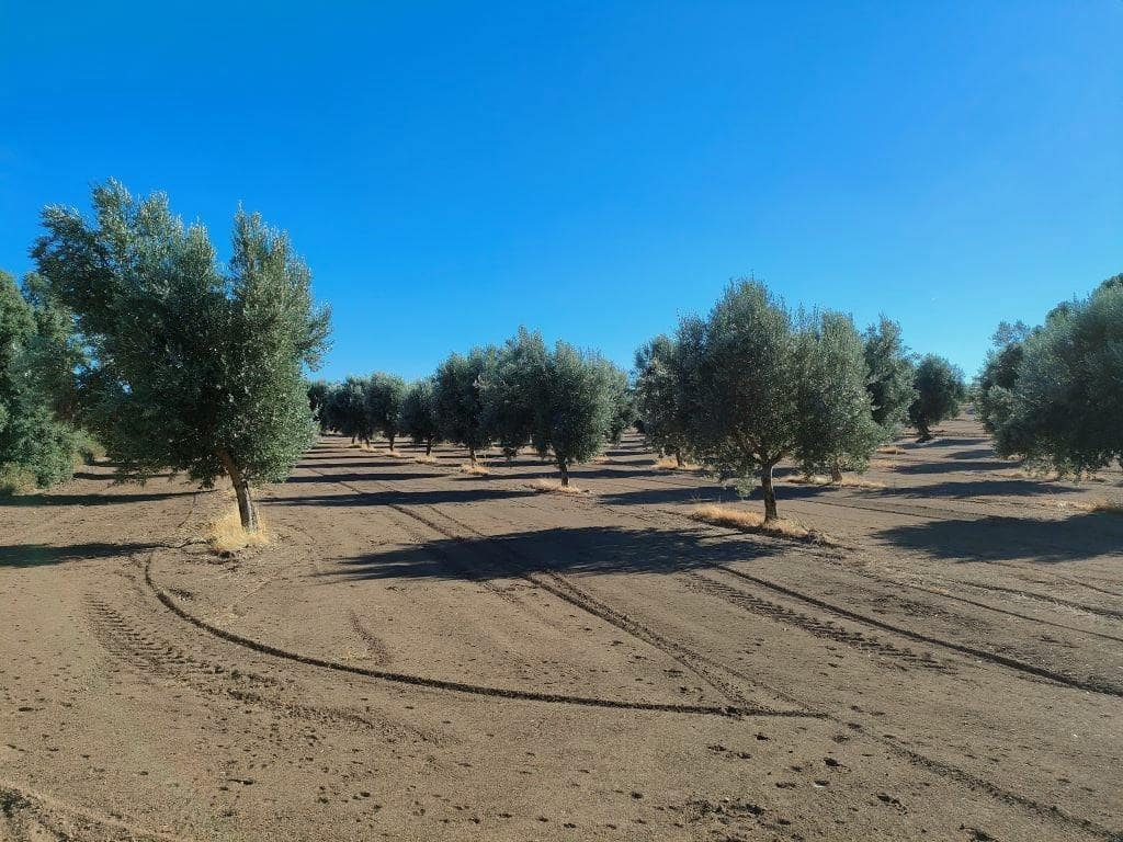 Finca/Landehus til salg i Cretas - € 55.000 (Ref: 9150230)