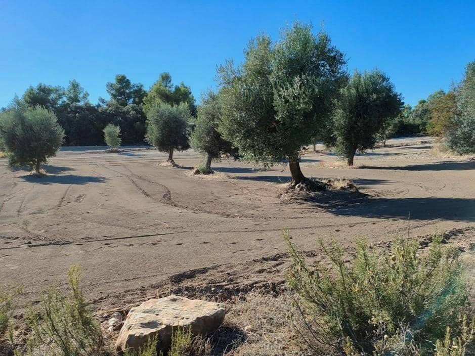 Finca/Landehus til salg i Cretas - € 55.000 (Ref: 9150230)