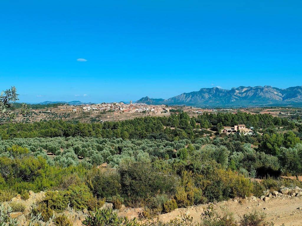 Finca/Landehus til salg i Cretas - € 55.000 (Ref: 9150230)