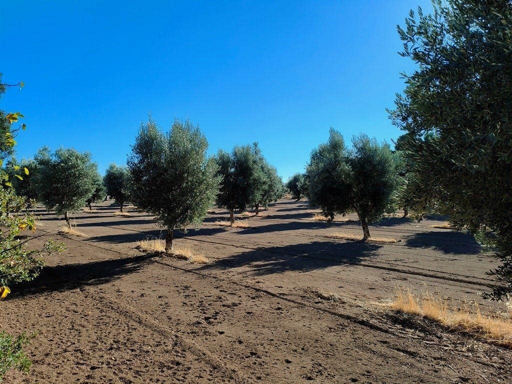 Finca/Landehus til salg i Cretas - € 55.000 (Ref: 9150230)