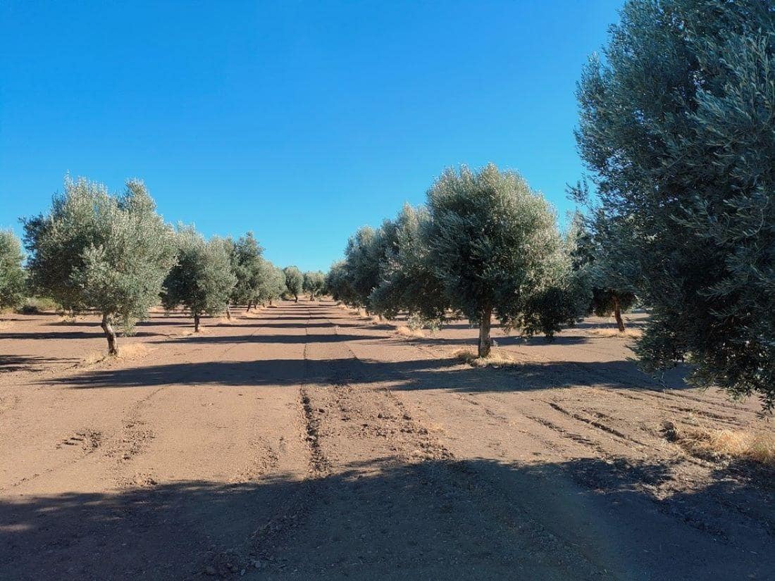 Finca/Landehus til salg i Cretas - € 55.000 (Ref: 9150230)