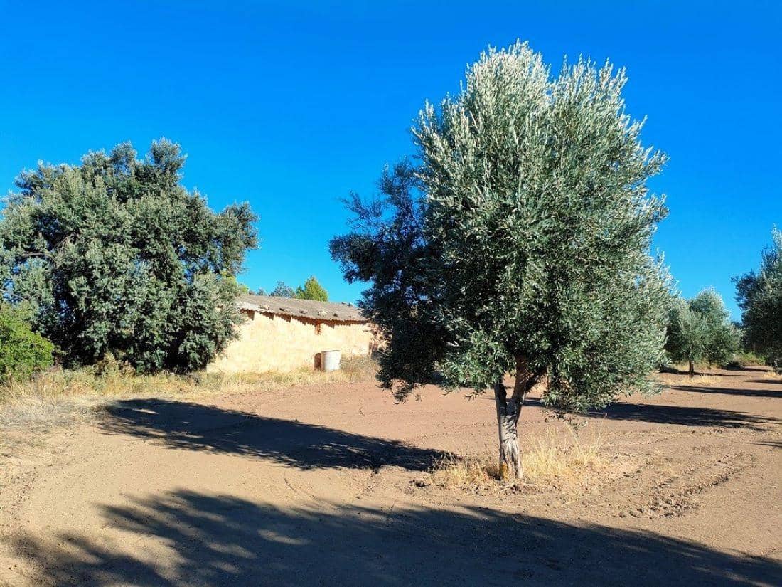 Finca/Landehus til salg i Cretas - € 55.000 (Ref: 9150230)