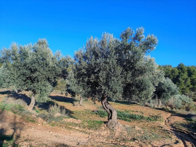 Finca/Casa Rural en La Fresneda en venta - 33.000 € (Ref: 9150233)