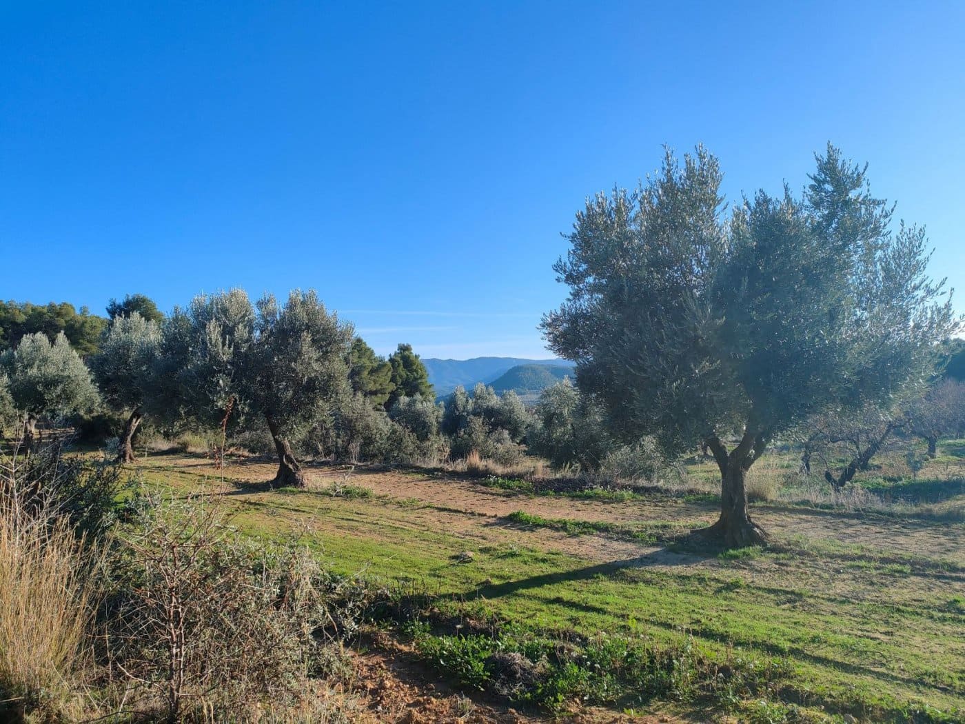 Finca/Landehus til salg i La Fresneda - € 33.000 (Ref: 9150233)