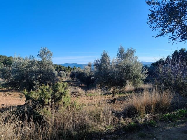 Finca/Casa Rural en La Fresneda en venta - 33.000 € (Ref: 9150233)
