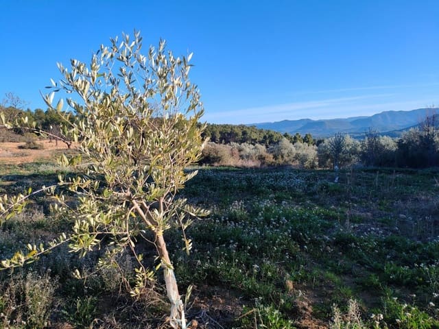 Finca/Casa Rural en La Fresneda en venta - 33.000 € (Ref: 9150233)