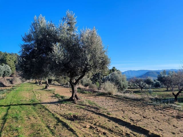 Finca/Casa Rural en La Fresneda en venta - 33.000 € (Ref: 9150233)