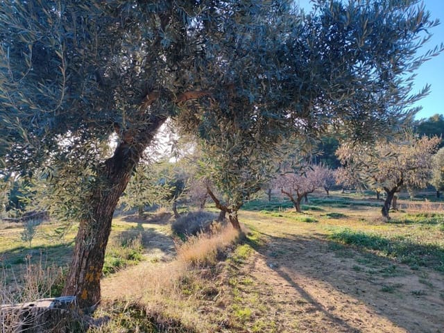 Finca/Casa Rural en La Fresneda en venta - 33.000 € (Ref: 9150233)