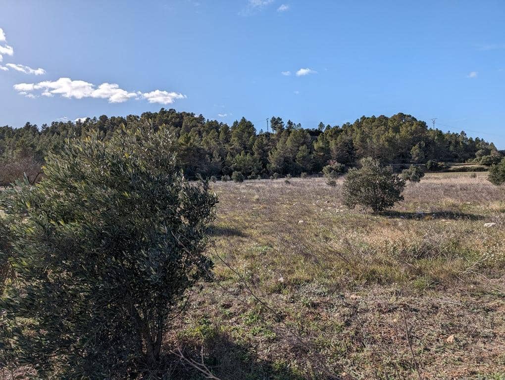 Finca/Landehus til salg i Arens de Lledo - € 30.000 (Ref: 9150238)
