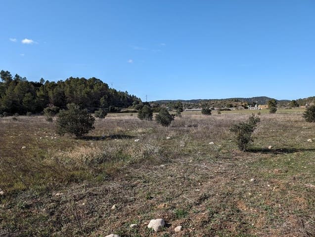 Finca/Landgut zu verkaufen in Arens de Lledó - 30.000 € (Ref: 9150238)