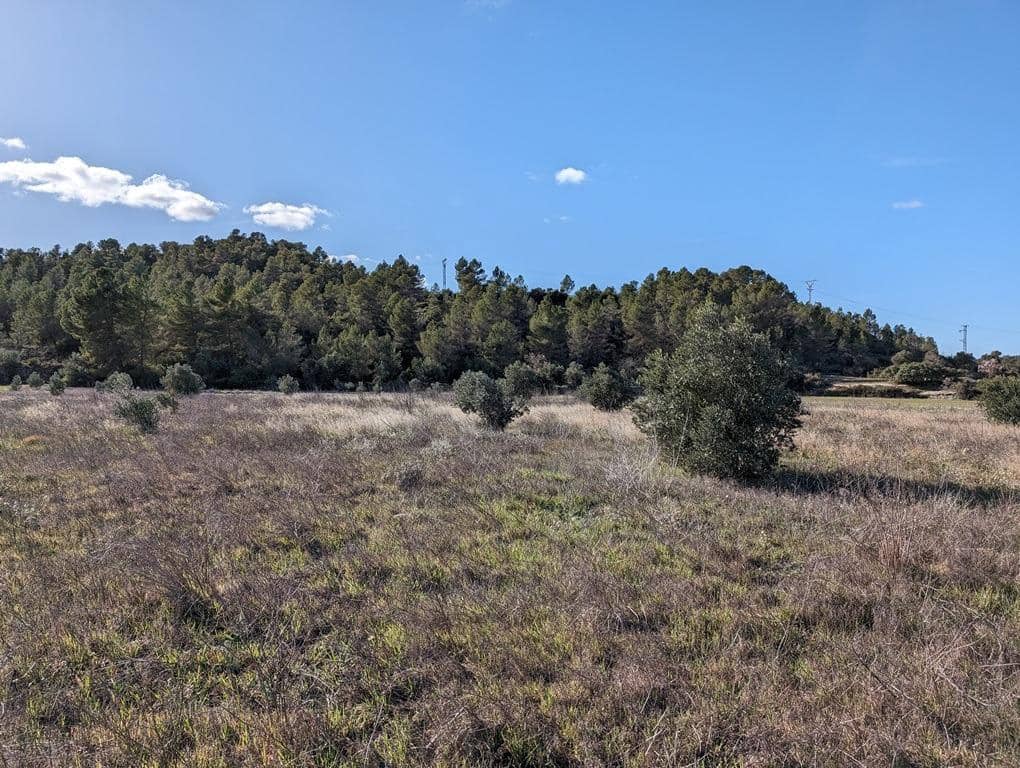 Finca/Landehus til salg i Arens de Lledo - € 30.000 (Ref: 9150238)