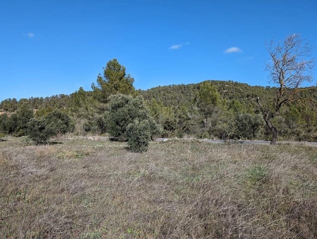 Finca/Landgut zu verkaufen in Arens de Lledó - 30.000 € (Ref: 9150238)