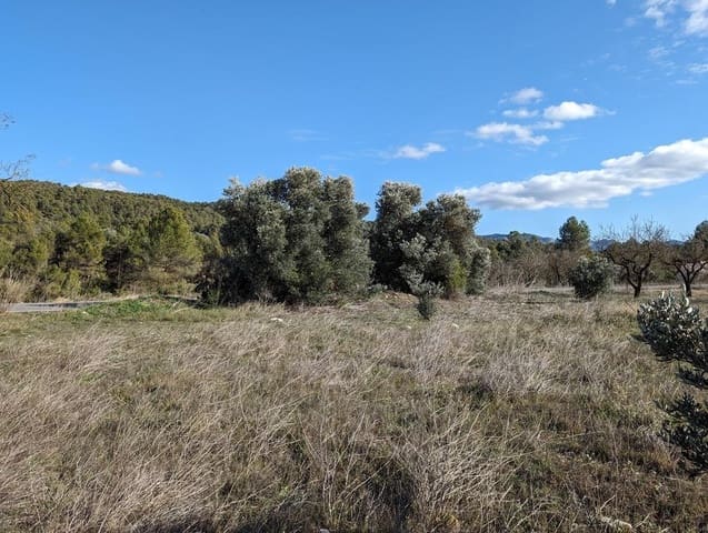 Finca/Landgut zu verkaufen in Arens de Lledó - 30.000 € (Ref: 9150238)