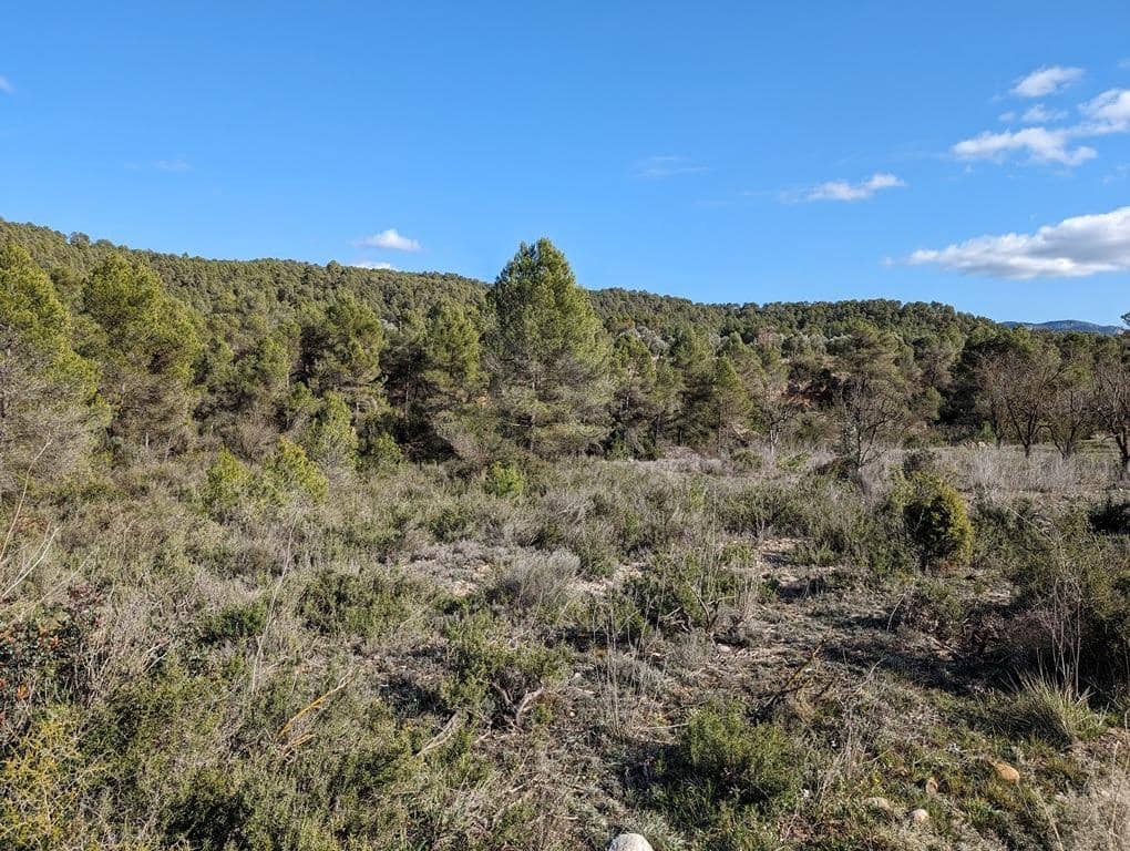 Finca/Landehus til salg i Arens de Lledo - € 30.000 (Ref: 9150238)