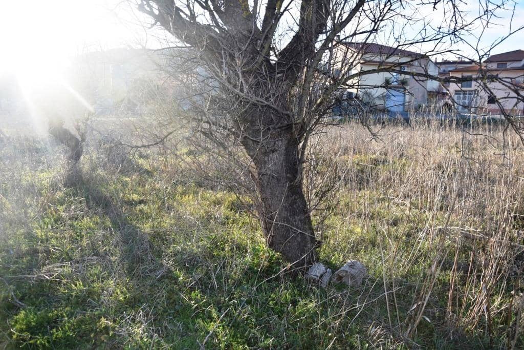 Byggegrund til salg i Valderrobres - € 75.000 (Ref: 9150240)