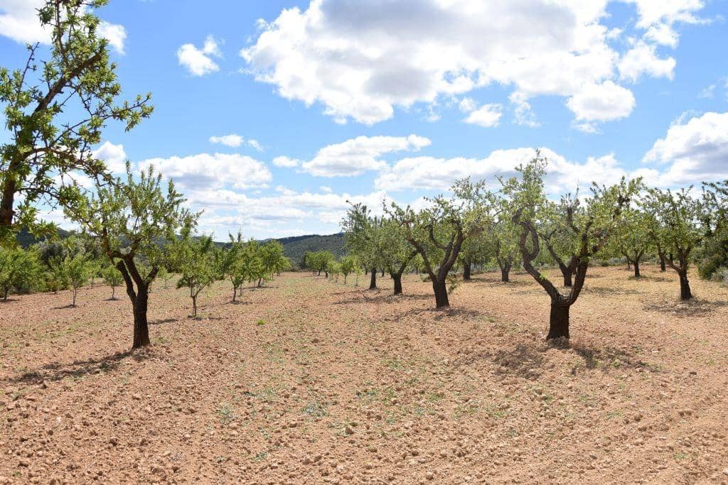 Finca/Landehus til salg i Arens de Lledo - € 30.000 (Ref: 9150243)