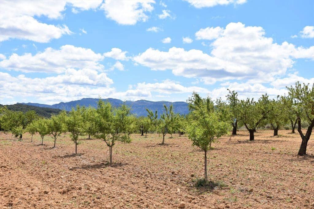 Finca/Landehus til salg i Arens de Lledo - € 30.000 (Ref: 9150243)