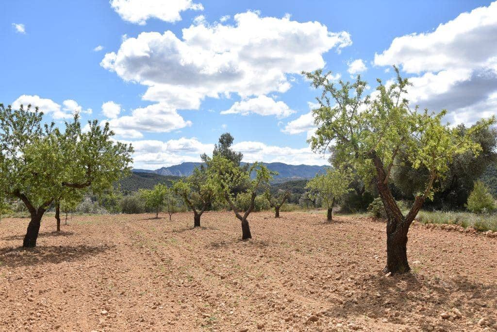 Finca/Landehus til salg i Arens de Lledo - € 30.000 (Ref: 9150243)