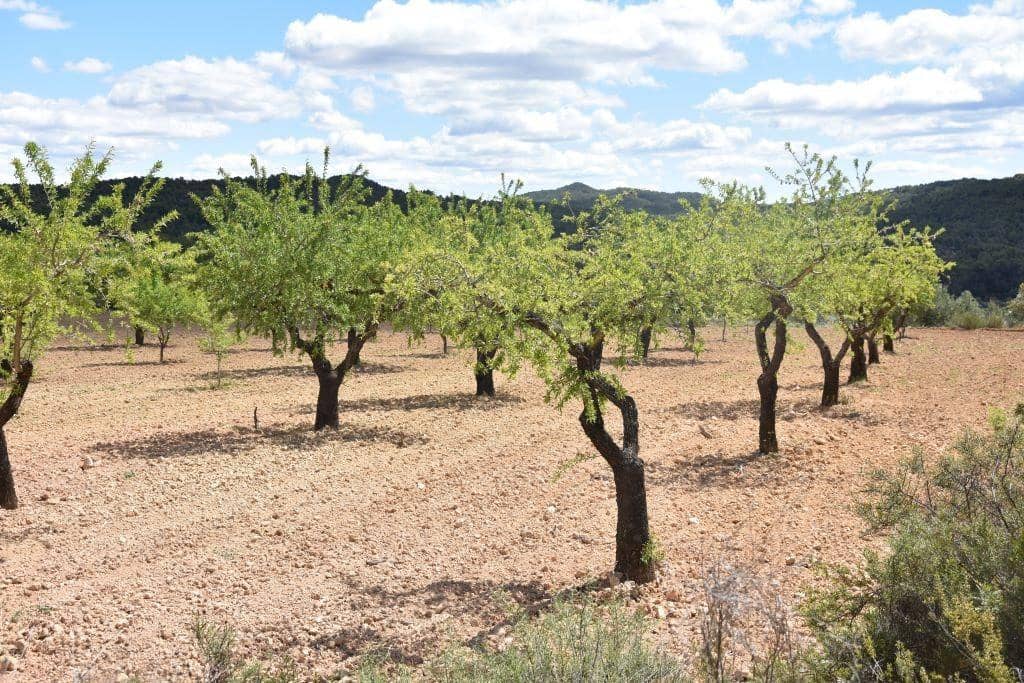 Finca/Landehus til salg i Arens de Lledo - € 30.000 (Ref: 9150243)