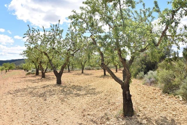 Finca/Landehus til salg i Arens de Lledó - € 30.000 (Ref: 9150243)