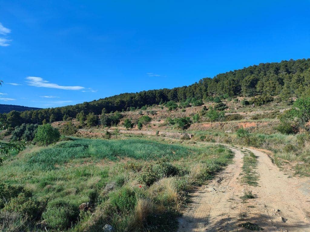 Finca/Landehus til salg i Valderrobres - € 140.000 (Ref: 9150245)