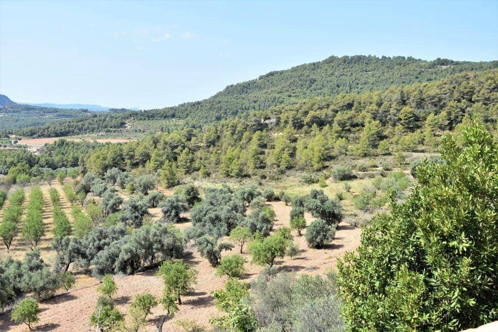 3 soveværelse Finca/Landehus til salg i Horta de Sant Joan med swimmingpool garage - € 330.000 (Ref: 9150246)