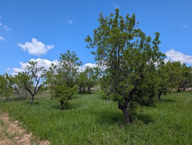 1 camera da letto Finca/Casa di Campagna in vendita in Monroyo - 20.000 € (Rif: 9150249)