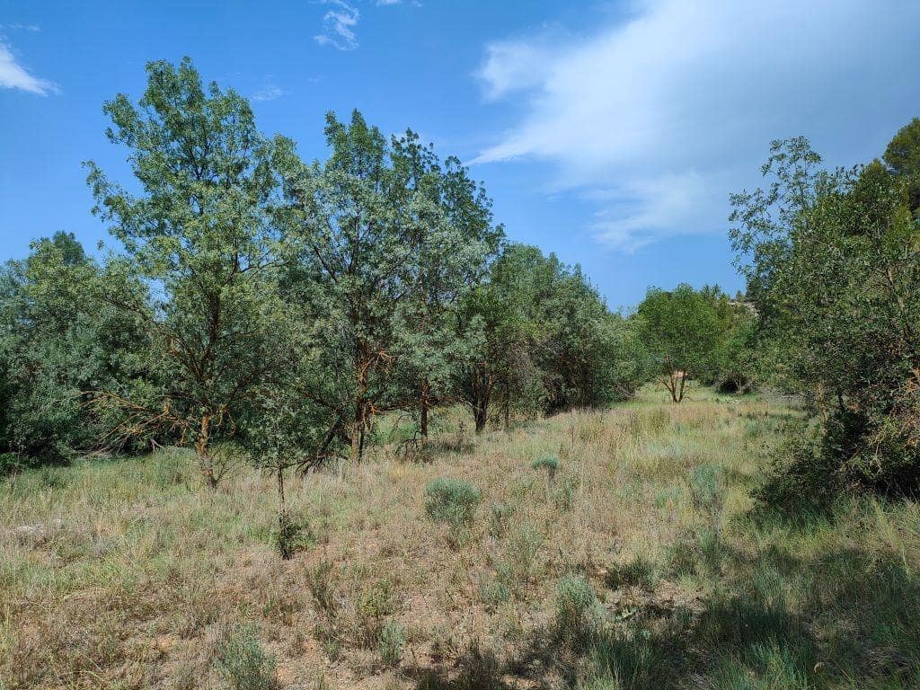 Finca/Casa Rural en La Fresneda en venta - 14.500 € (Ref: 9150250)