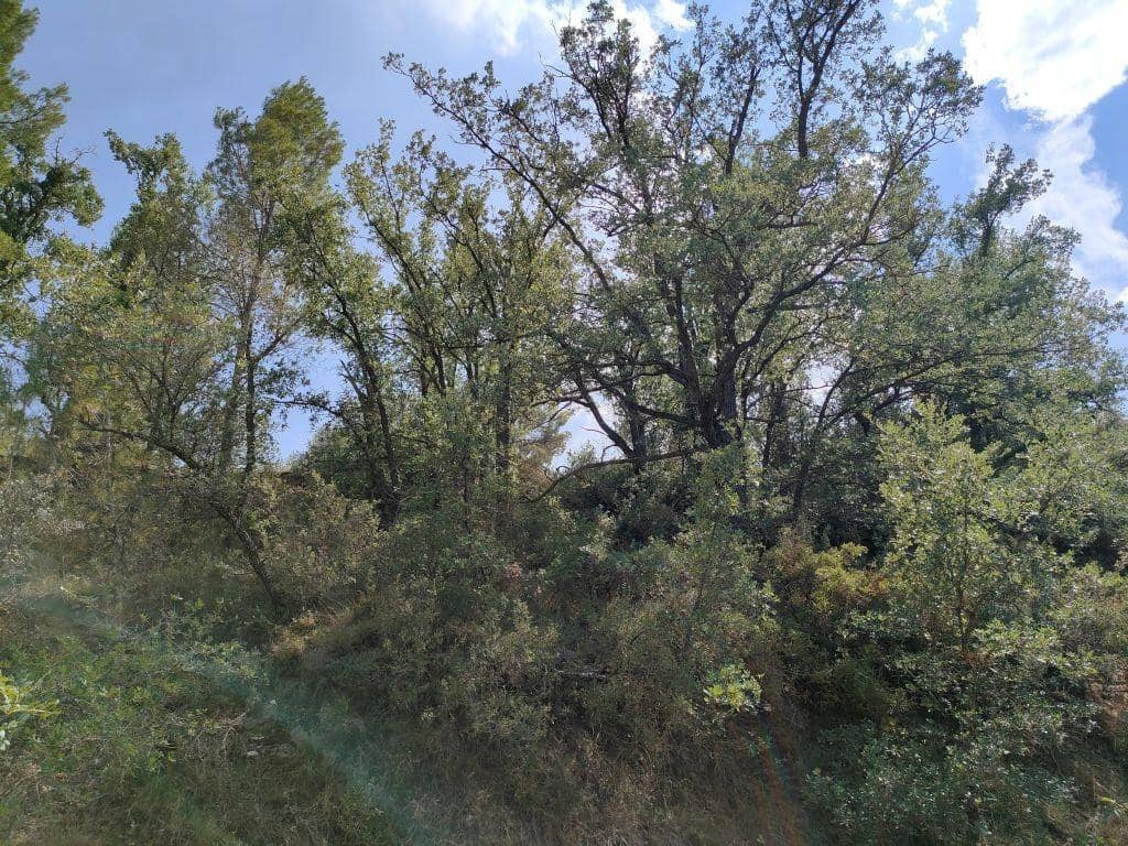 Finca/Casa Rural en La Fresneda en venta - 14.500 € (Ref: 9150250)