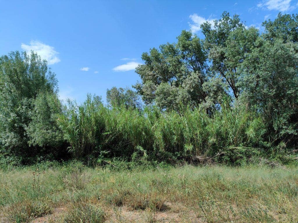 Finca/Casa Rural en La Fresneda en venta - 14.500 € (Ref: 9150250)