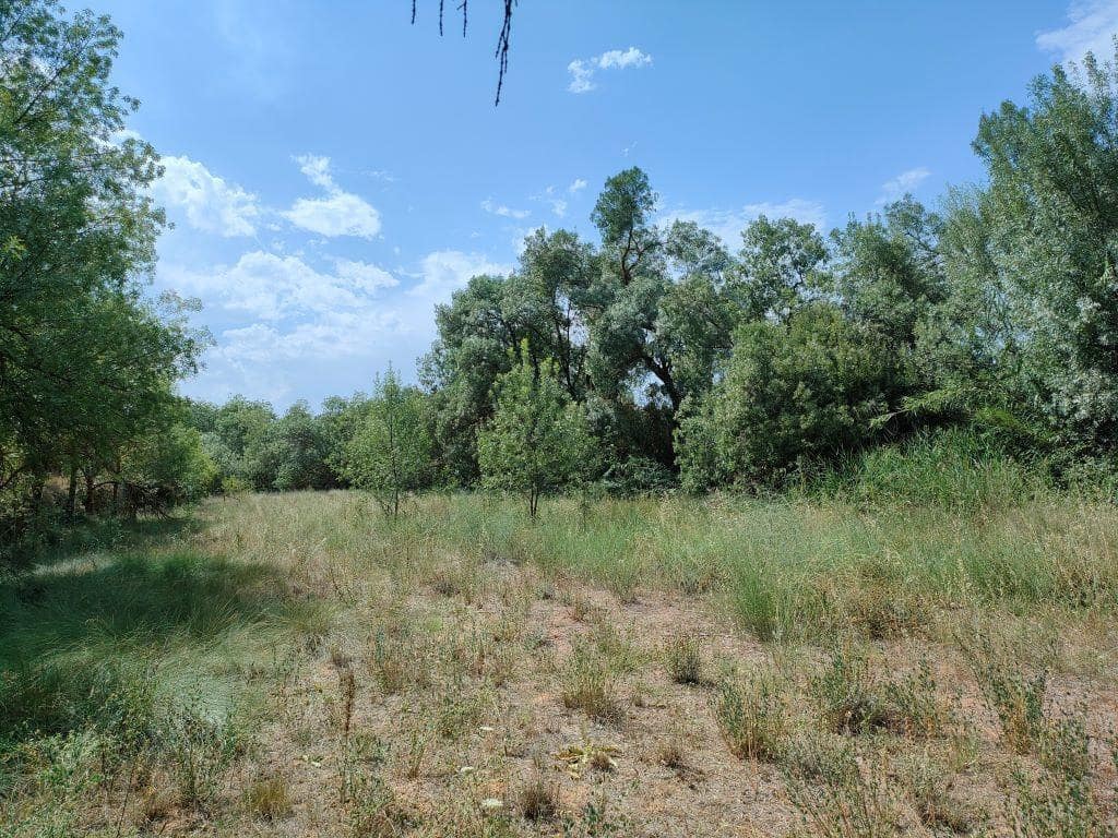 Finca/Casa Rural en La Fresneda en venta - 14.500 € (Ref: 9150250)