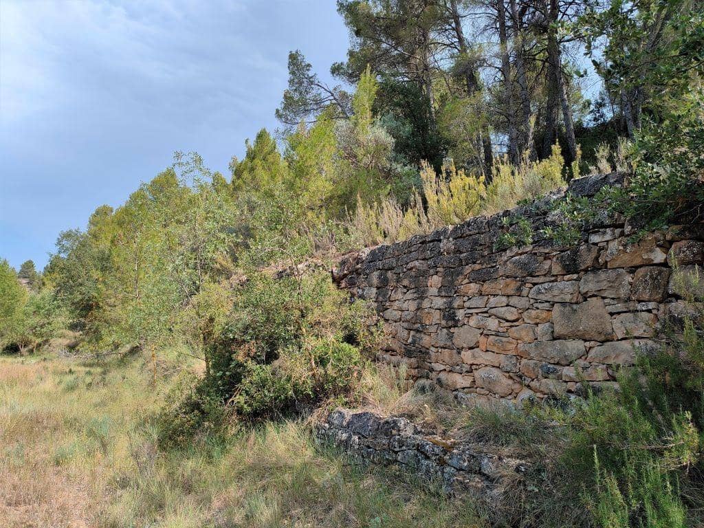 Finca/Casa Rural en La Fresneda en venta - 14.500 € (Ref: 9150250)