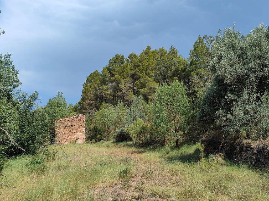 Finca/Casa Rural en La Fresneda en venta - 14.500 € (Ref: 9150250)