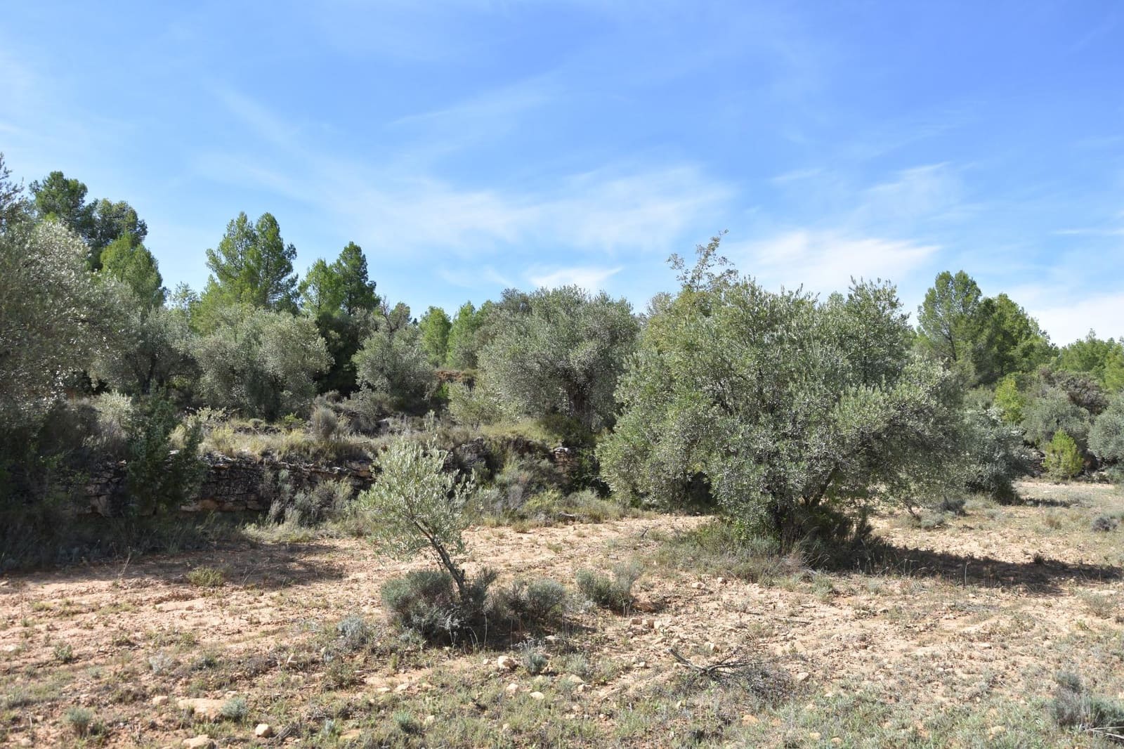 1 soveværelse Finca/Landehus til salg i La Fresneda - € 15.000 (Ref: 9150256)