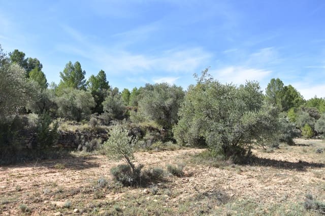 1 camera da letto Finca/Casa di Campagna in vendita in La Fresneda - 15.000 € (Rif: 9150256)