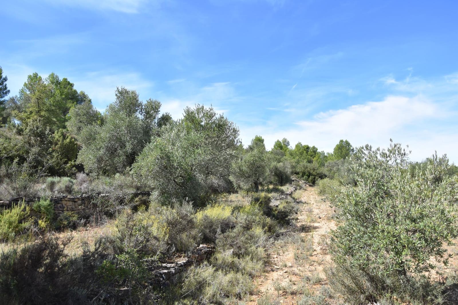 1 soveværelse Finca/Landehus til salg i La Fresneda - € 15.000 (Ref: 9150256)