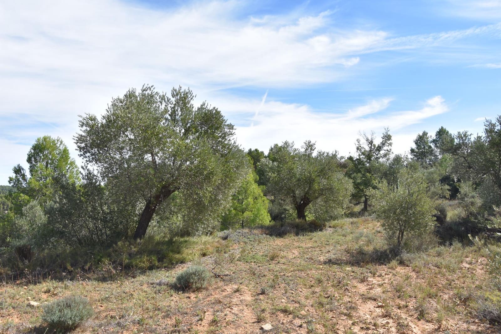 1 soveværelse Finca/Landehus til salg i La Fresneda - € 15.000 (Ref: 9150256)