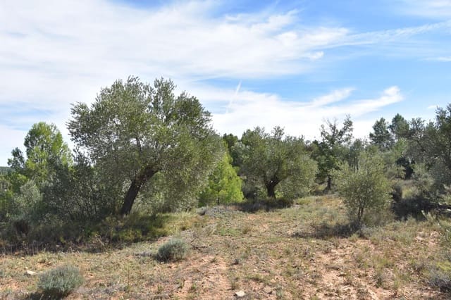 1 camera da letto Finca/Casa di Campagna in vendita in La Fresneda - 15.000 € (Rif: 9150256)